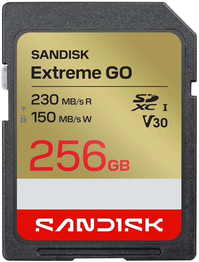 Atminties kortelė SanDisk Extreme GO 256 GB SDXC UHS-I