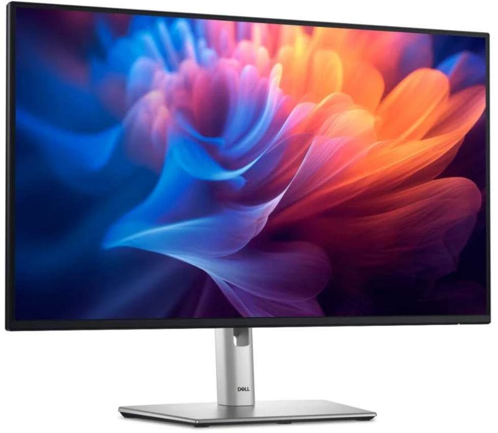 Monitorius Dell 24 P2425H, 60.5cm (23.8") / IPS /FHD(1920 x 1080 )/16:9 / 100 Hz /250 cd/m² /Height, Tilt, Swivel, Pivot /Garantija 36 mėn