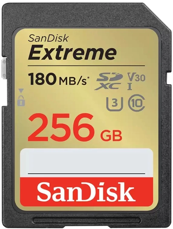 Atminties kortelė Sandisk SDSDXVV-256G-GNCIN