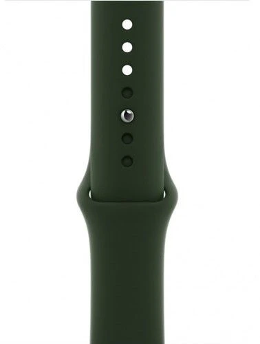 Just Must Siksniņa Universal Liquid silicone case for Apple watch band 38/40/41 Olive Žalias 20000166640