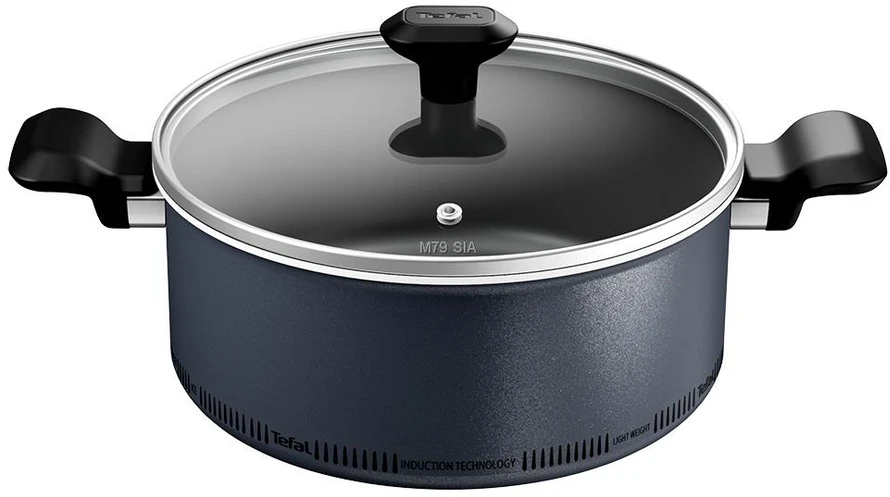 PUODAS 24cm SU DANGIU TOKIU LENGVU Tefal
