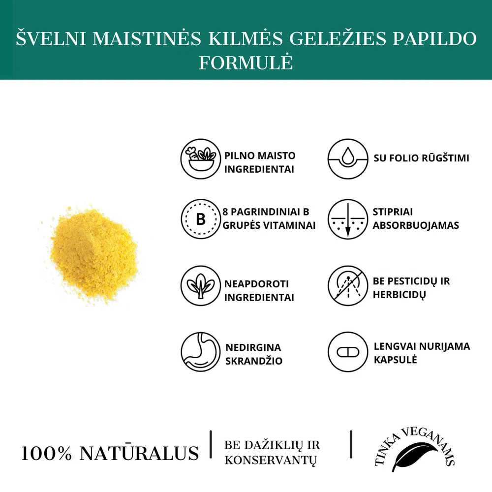 Grandininis pjūklas Geležies papildas su B vitaminais GENTLE IRON TOGETHER RAW, 30 kaps.