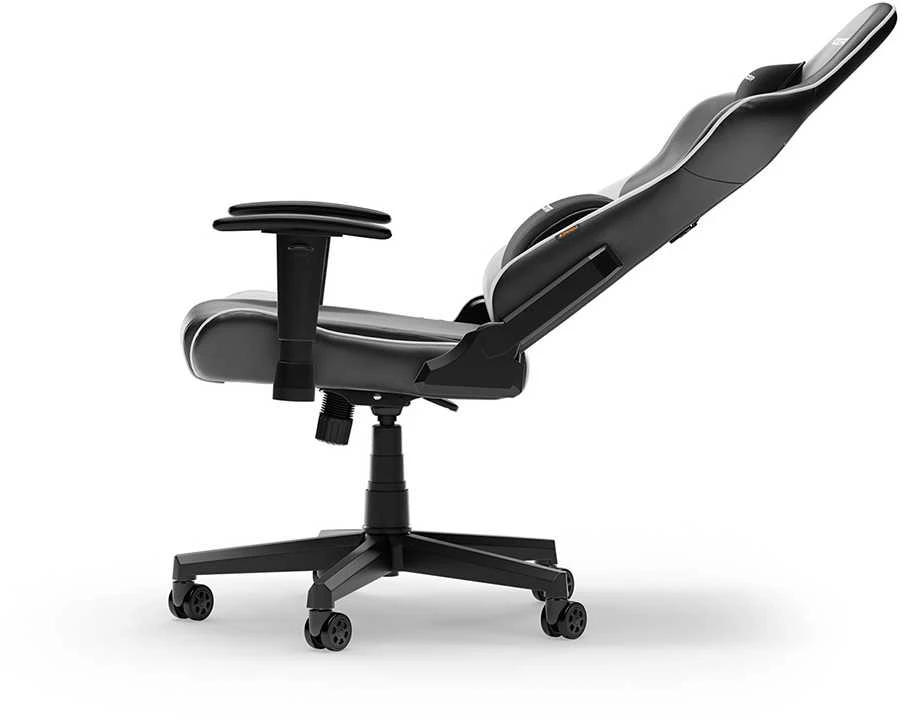 DXRACER Prince Series L juoda-balta ergonominė kėdė(F24-LTC-NW)