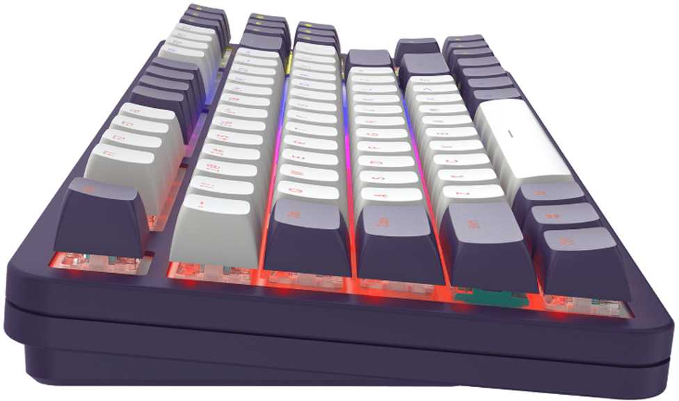 Klaviatūra Dark Project Tamsus projektas ALU87A Violet/Baltas G3MS Mech RGB