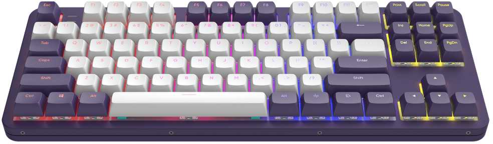 Klaviatūra Dark Project Tamsus projektas ALU87A Violet/Baltas G3MS Mech RGB