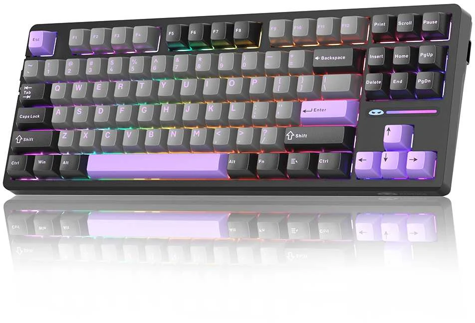 Klaviatūra Magegee Light87 Dark Violetinė, RGB, Mėlyna Whale Switch, US