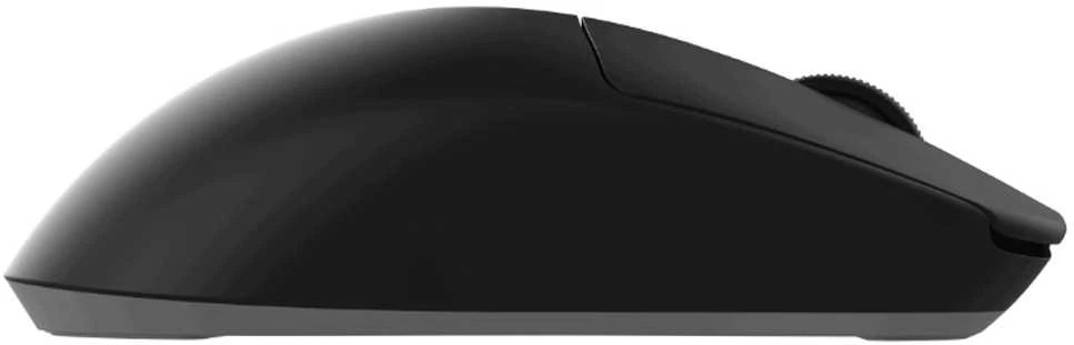 Pelė Dark Project Novus Wireless Juodas/Pilkas