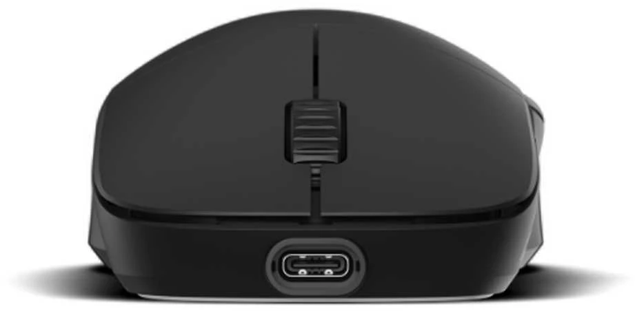 Endgame Gear XM2w Wireless 4K Juodas (Juoda) Belaidė Žaidimų Pelė