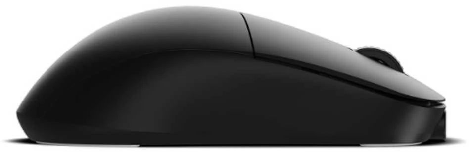 Endgame Gear XM2w Wireless 4K Juodas (Juoda) Belaidė Žaidimų Pelė