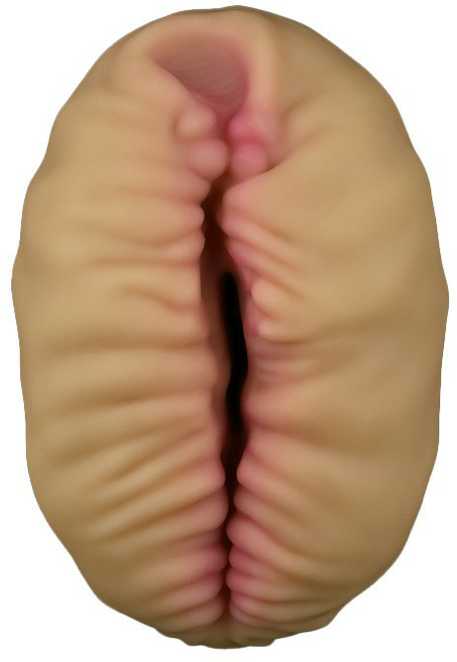 LOVETOY Alien's Pie Masturbator #2