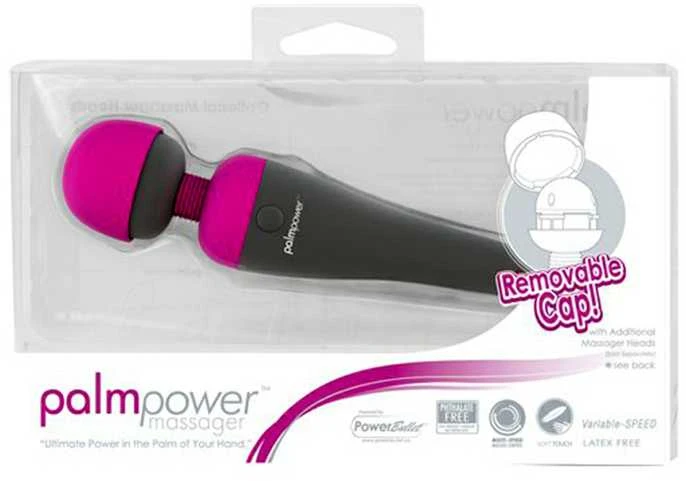 Palm Power PalmPower Massager