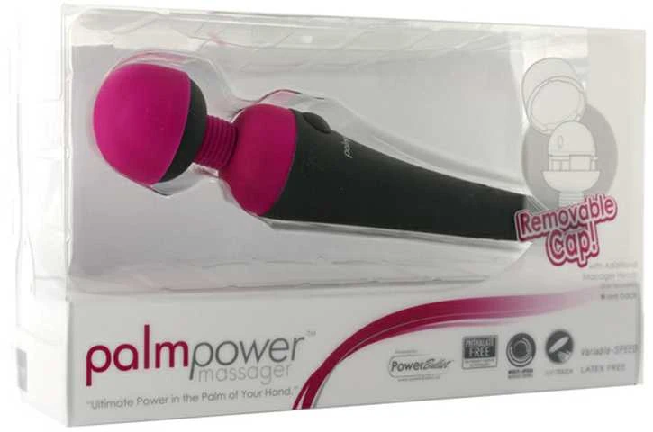 Palm Power PalmPower Massager