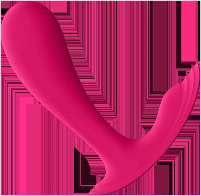 „SATISFYER TOP SECRET“ PRISIJUNGIMO PROGRAMĖLĖ