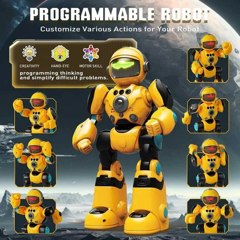 Interaktyvus nuotoliniu būdu valdomas robotas Remote Control Robot