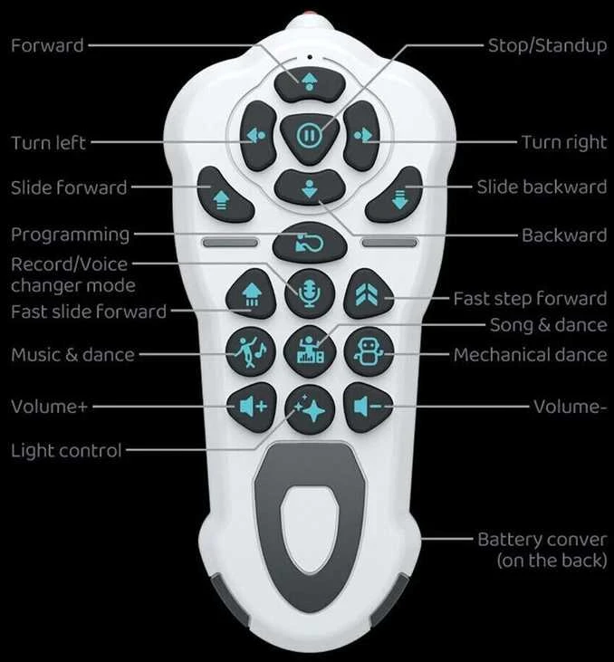 Interaktyvus nuotoliniu būdu valdomas robotas Remote Control Robot