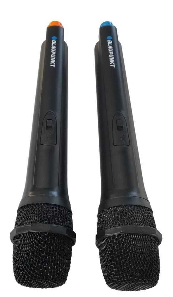 Nešiojama kolonėlė PartyBox Blaupunkt PB10DB