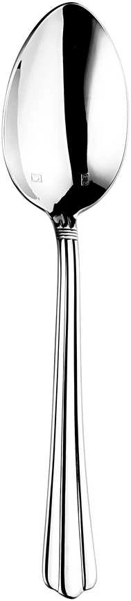 Eternum Dessert spoon