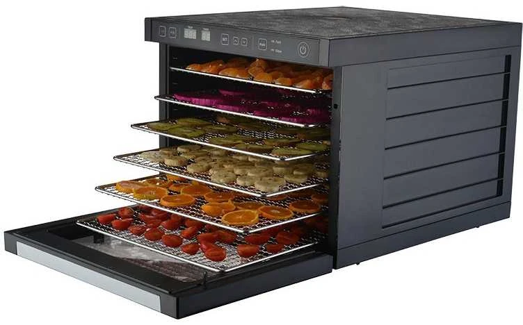 Maisto produktų džiovyklė Zyle ZY100FD
