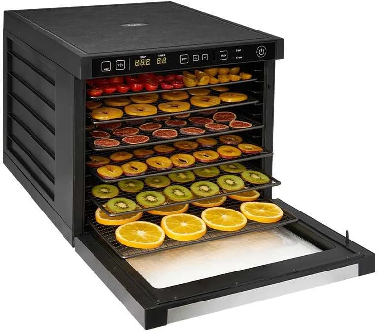 Maisto produktų džiovyklė Zyle ZY100FD
