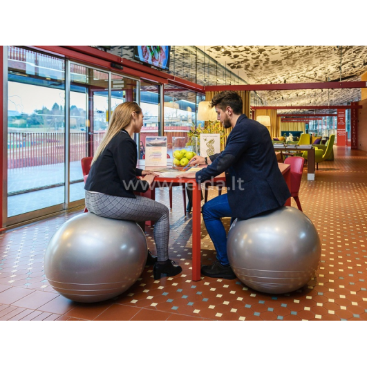 Gymnic Kamuolys Memory Ball 65 cm