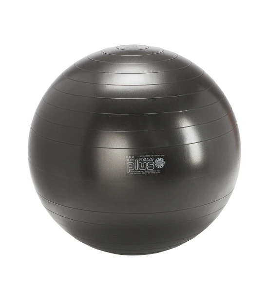 Gymnic Plus kamuolys 65 juodas