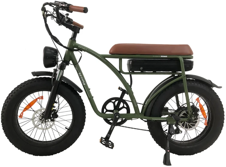 Elektrinis dviratis Bezior XF001, 20", 1000W, 12,5Ah, žalias