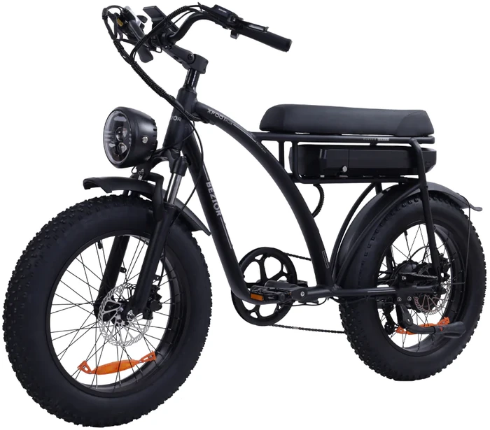 Elektrinis dviratis Bezior XF001, 20", 1000W, 12,5Ah, juodas