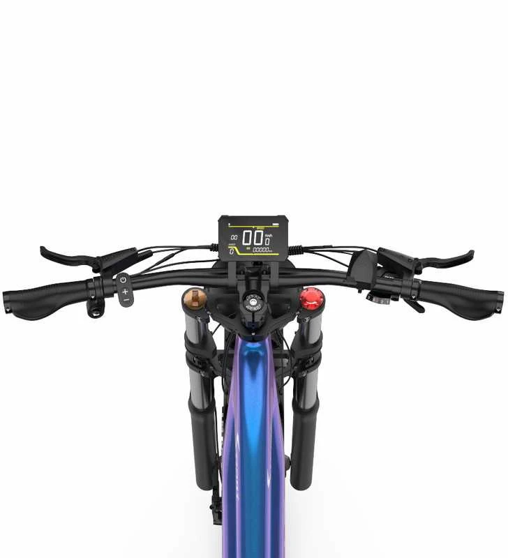 Elektrinis dviratis DUOTTS E26 Hybrid, 26", 750W, 20Ah SAMSUNG, mėlynas