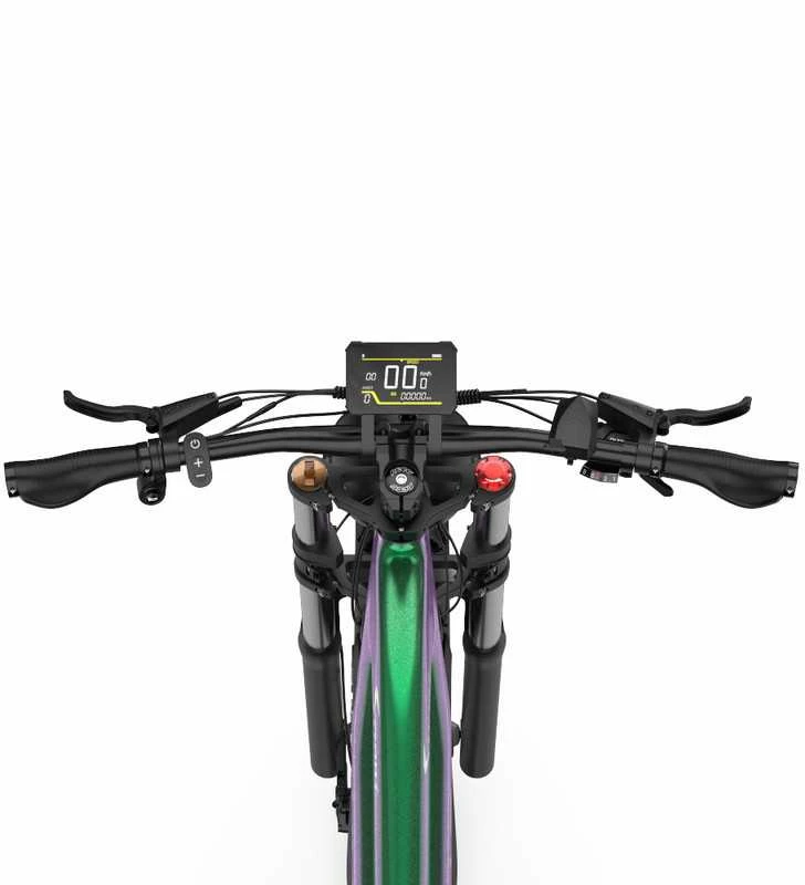 Elektrinis dviratis DUOTTS E26 Hybrid, 26", 750W, 20Ah SAMSUNG, žalias