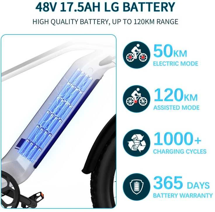 Elektrinis dviratis Duotts F26, 26", 1500W, 17,5Ah LG, pilkas