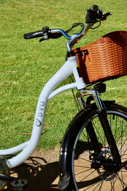 Elektrinis dviratis DYU C6, 26", 350W, 12,5Ah, baltas