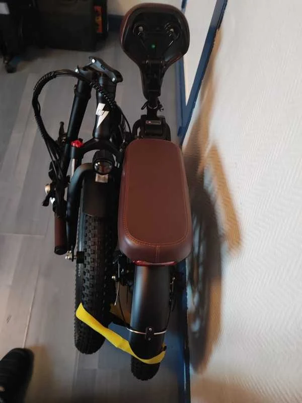Elektrinis dviratis Fafrees F20 20", juodas, 250W, 16Ah