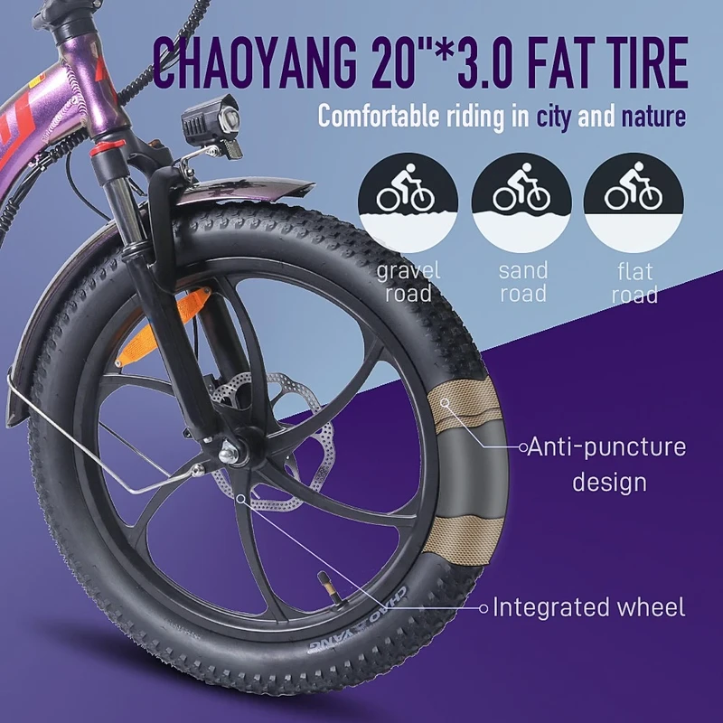 Elektrinis dviratis FAFREES F20 Pro, 20", juodas, 250W, 18Ah