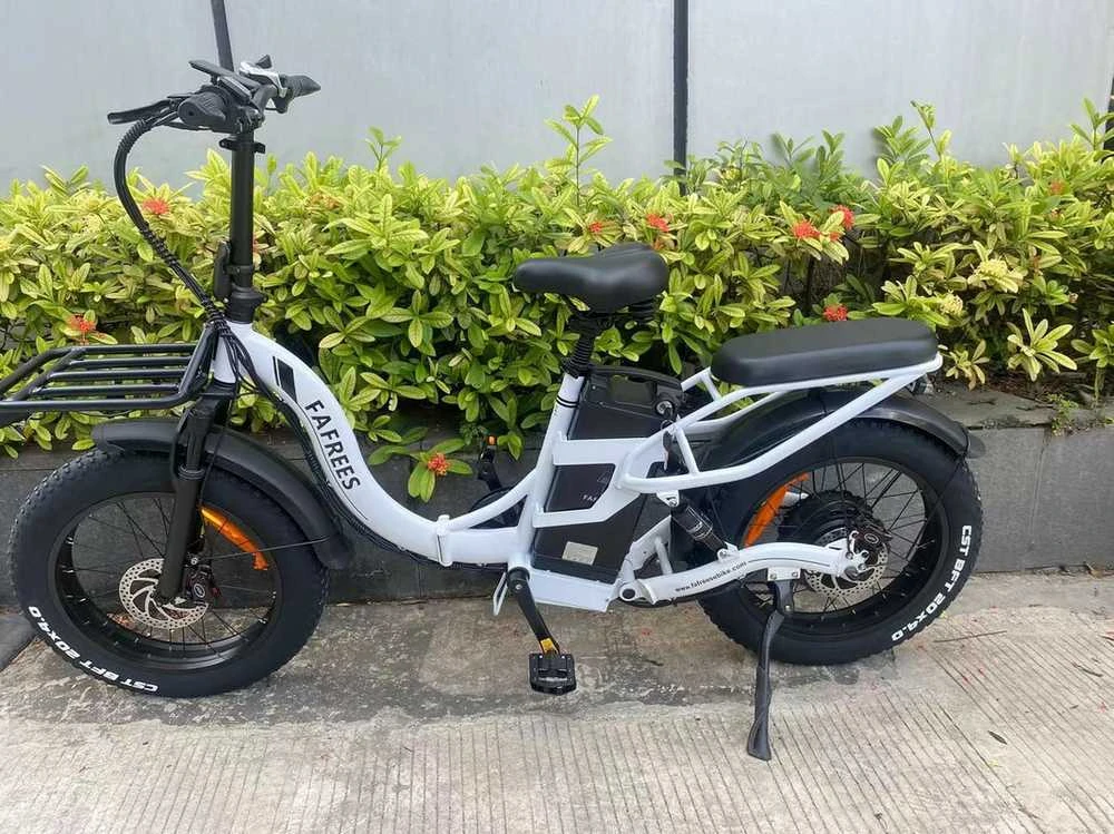 Elektrinis dviratis Fafrees F20 X- Max 20", raudonas, 750W, 30Ah