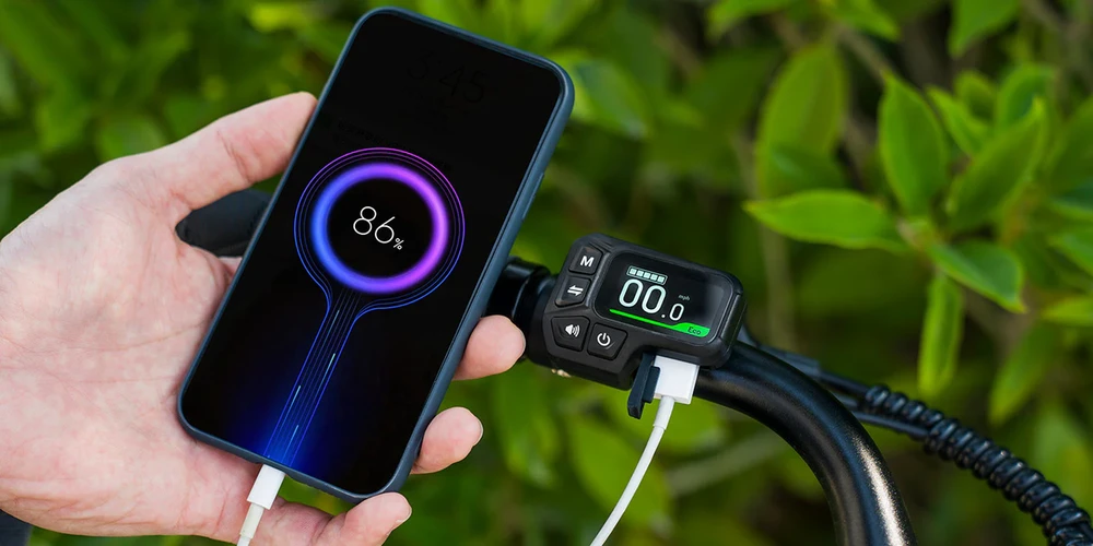 Elektrinis dviratis Fiido C11, 250W, mėlynas