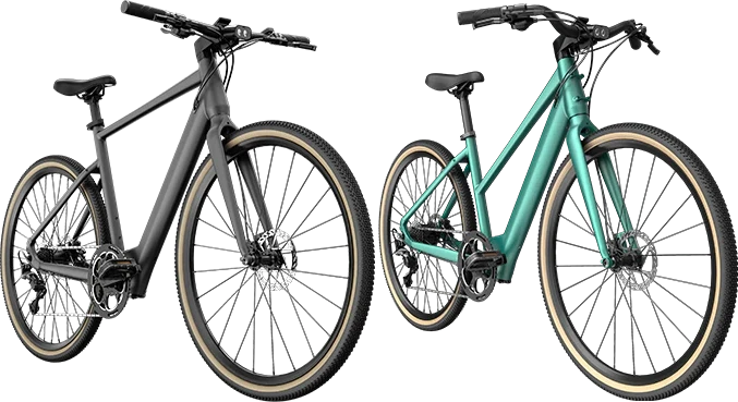Elektrinis dviratis Fiido Gravel C21, L, pilkas