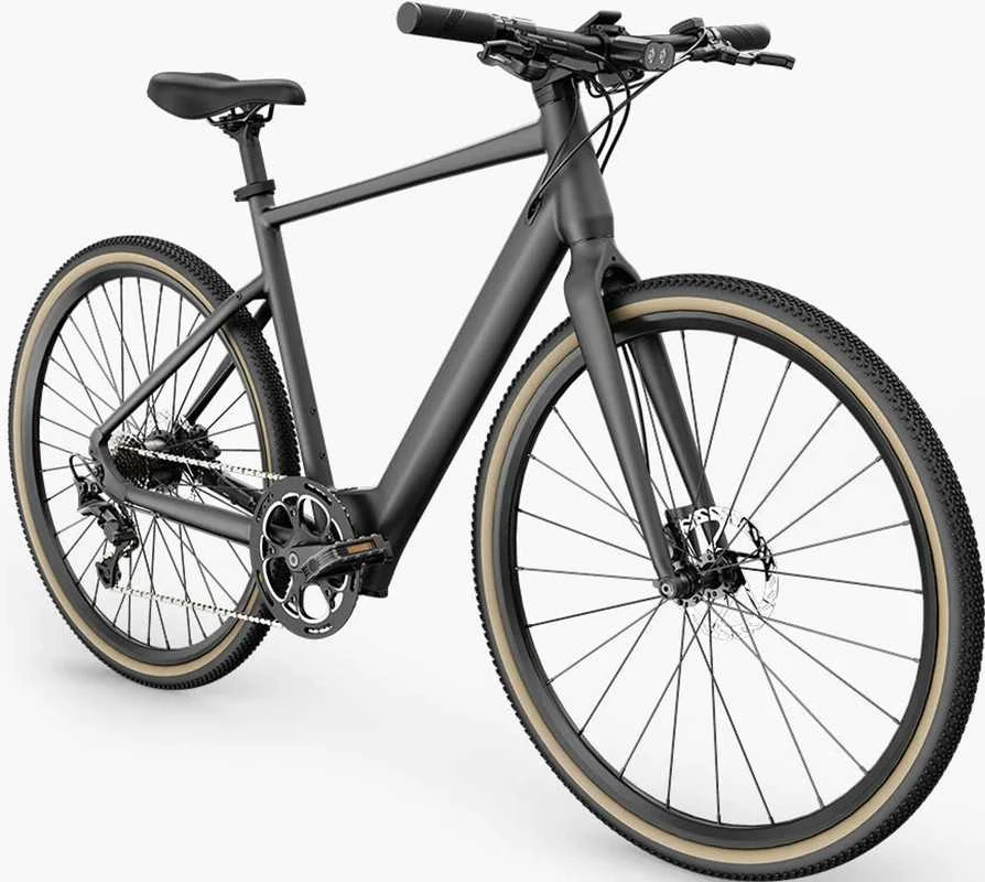 Elektrinis dviratis Fiido Gravel C21, L, pilkas