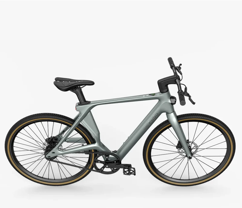 Elektrinis dviratis Fiido Gravel C31 Carbon, M (160-175cm)