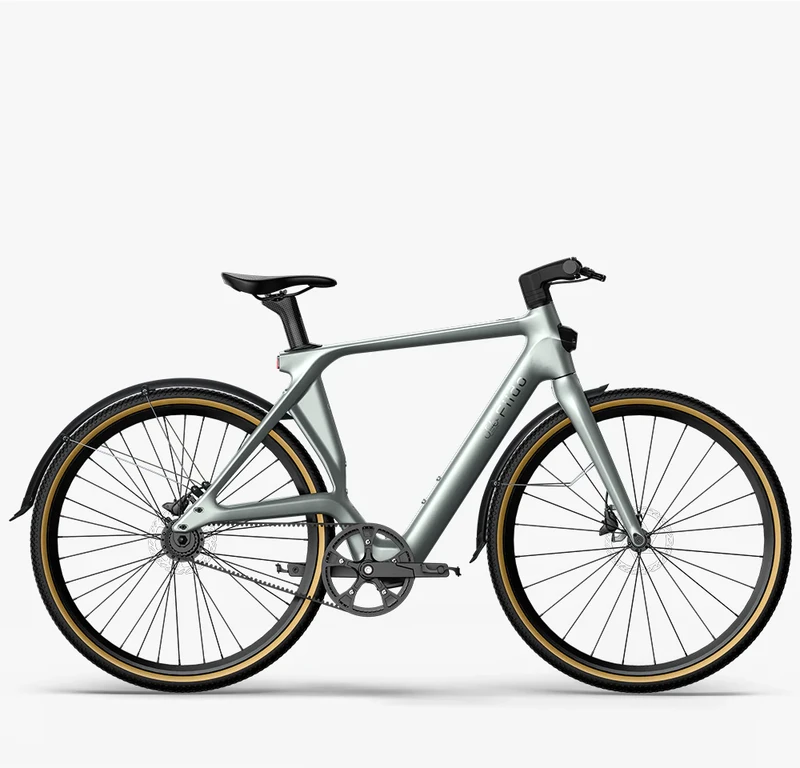 Elektrinis dviratis Fiido Gravel C31 Carbon, M (160-175cm)