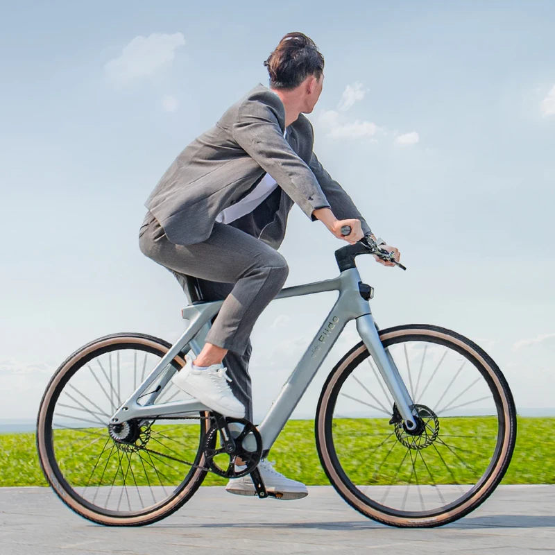 Elektrinis dviratis Fiido Gravel C31 Carbon, M (160-175cm)