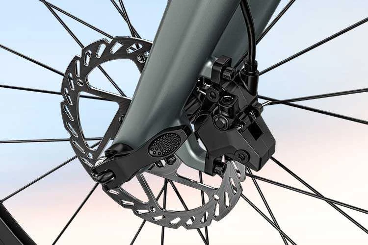 Elektrinis dviratis Fiido Gravel C31 Carbon, M (160-175cm)