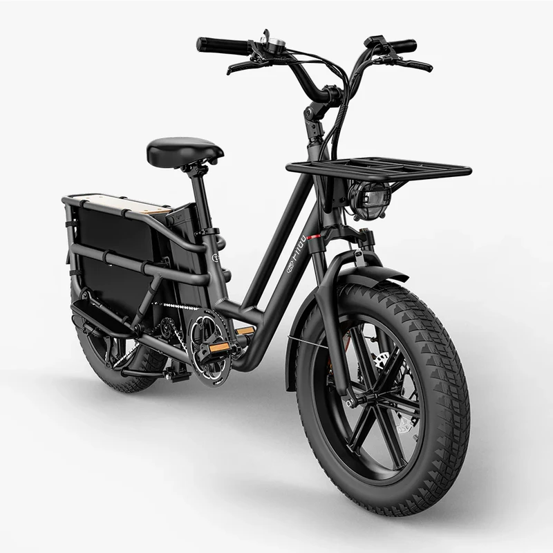 Elektrinis dviratis Fiido T2, 20", 750W, pilkas