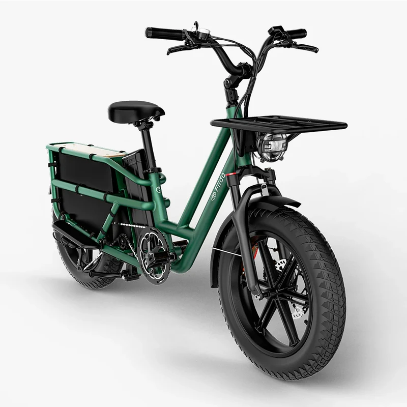 Elektrinis dviratis Fiido T2, 20", 750W, žalias