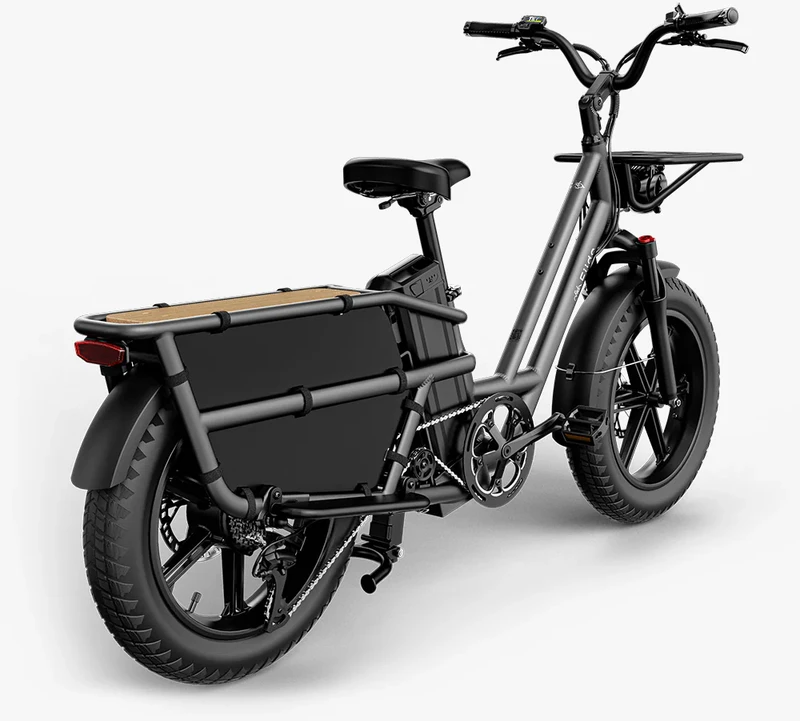 Elektrinis dviratis Fiido T2, 20", 750W, pilkas