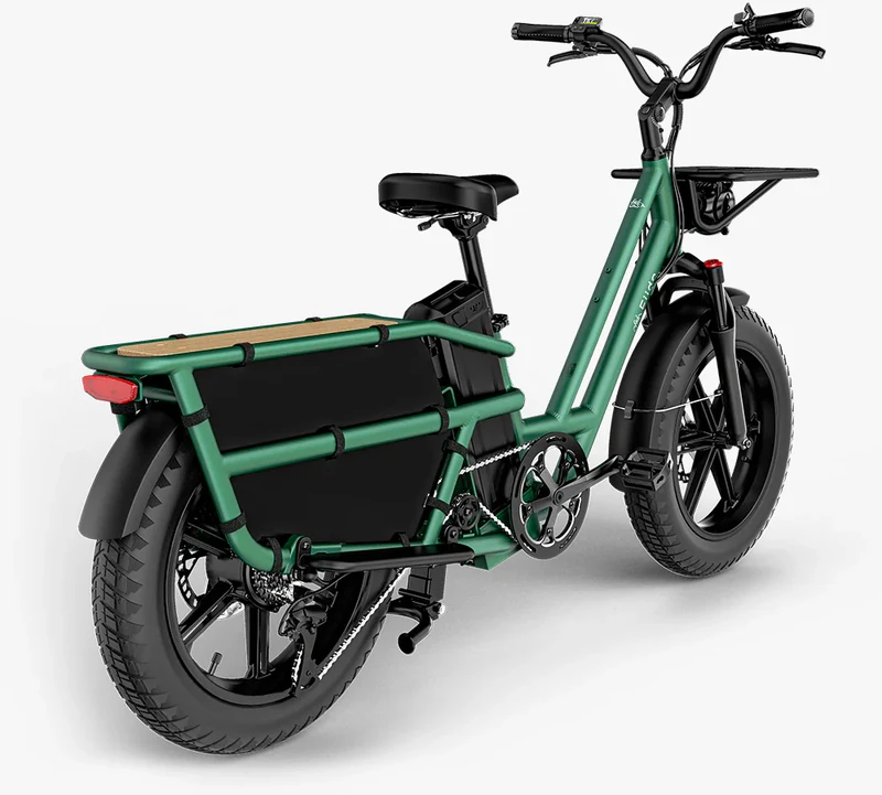 Elektrinis dviratis Fiido T2, 20", 750W, žalias