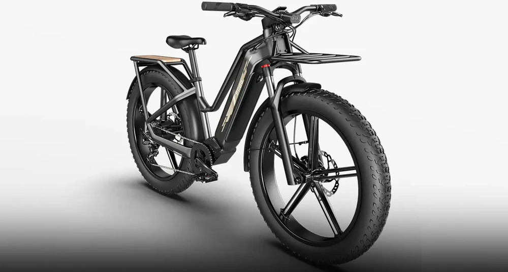 Elektrinis dviratis Fiido Titan, 26", 750W, 14,5Ah, juodas