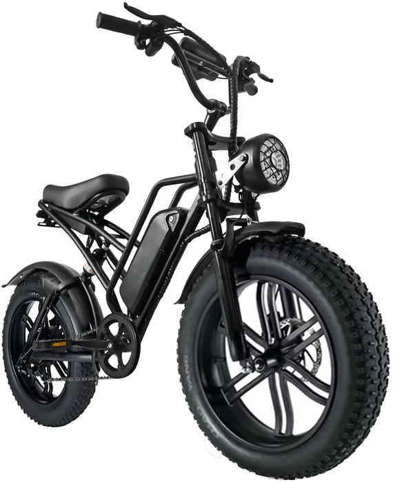 Elektrinis dviratis HappyRun G50, 20", 750W, 18Ah, juodas