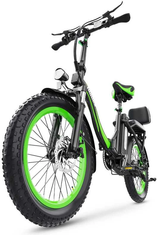 Elektrinis dviratis Hidoes C1, 20", 750W, 13Ah, juodas/žalias