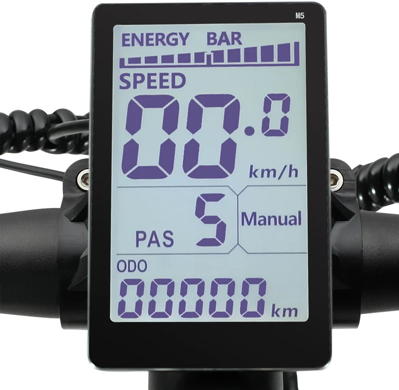 Elektrinis dviratis PHILODO H8 AWD, 26", 22Ah, juodas