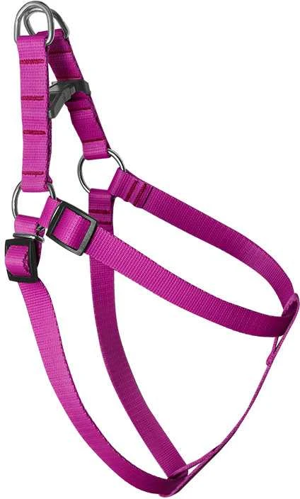 „Chaba CH“ DYKŲ REGULIUOTA JUOSTA. 3 AP. 60 CM FUCHSIA 4759